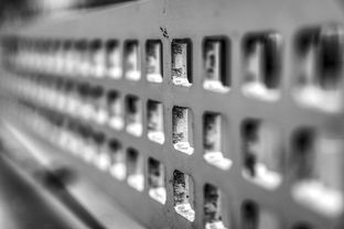 AC米兰-高校运动训练科学管理模式创新实践，运动训练科研管理工作要求