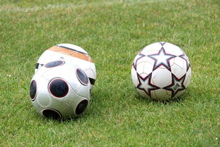 AC米兰-基层足球俱乐部资金短缺，基层足球俱乐部资金短缺的原因