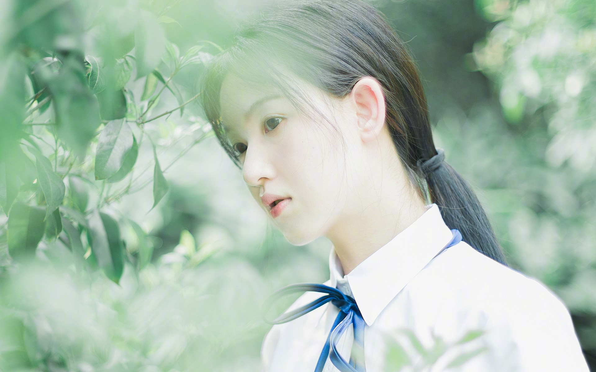 男子自由泳决赛表现抢眼，2021男子自由泳决赛