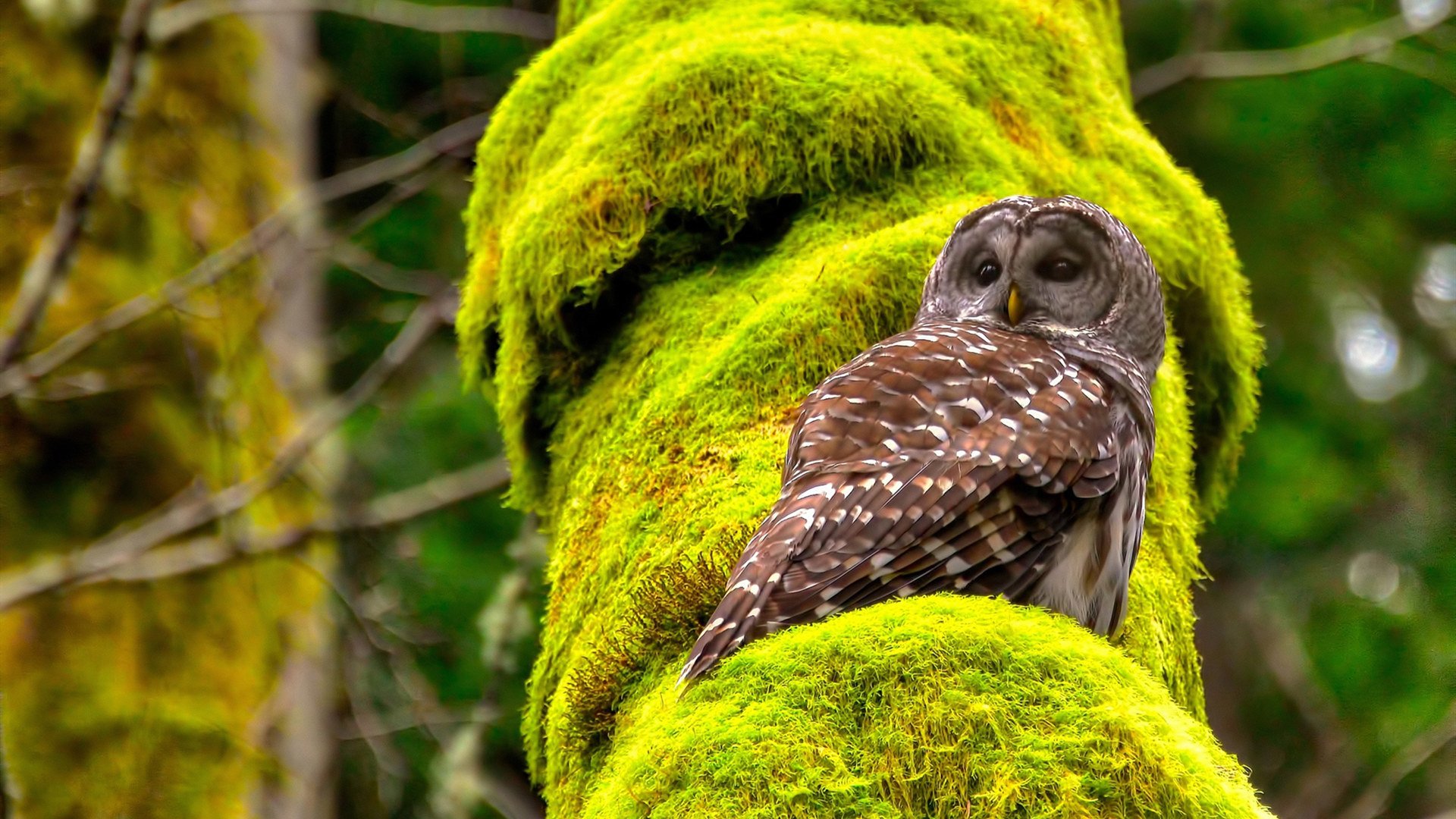 -联盟中哪支球队最擅长慢节奏控场比赛，联盟中哪支球队最擅长慢节奏控场比赛