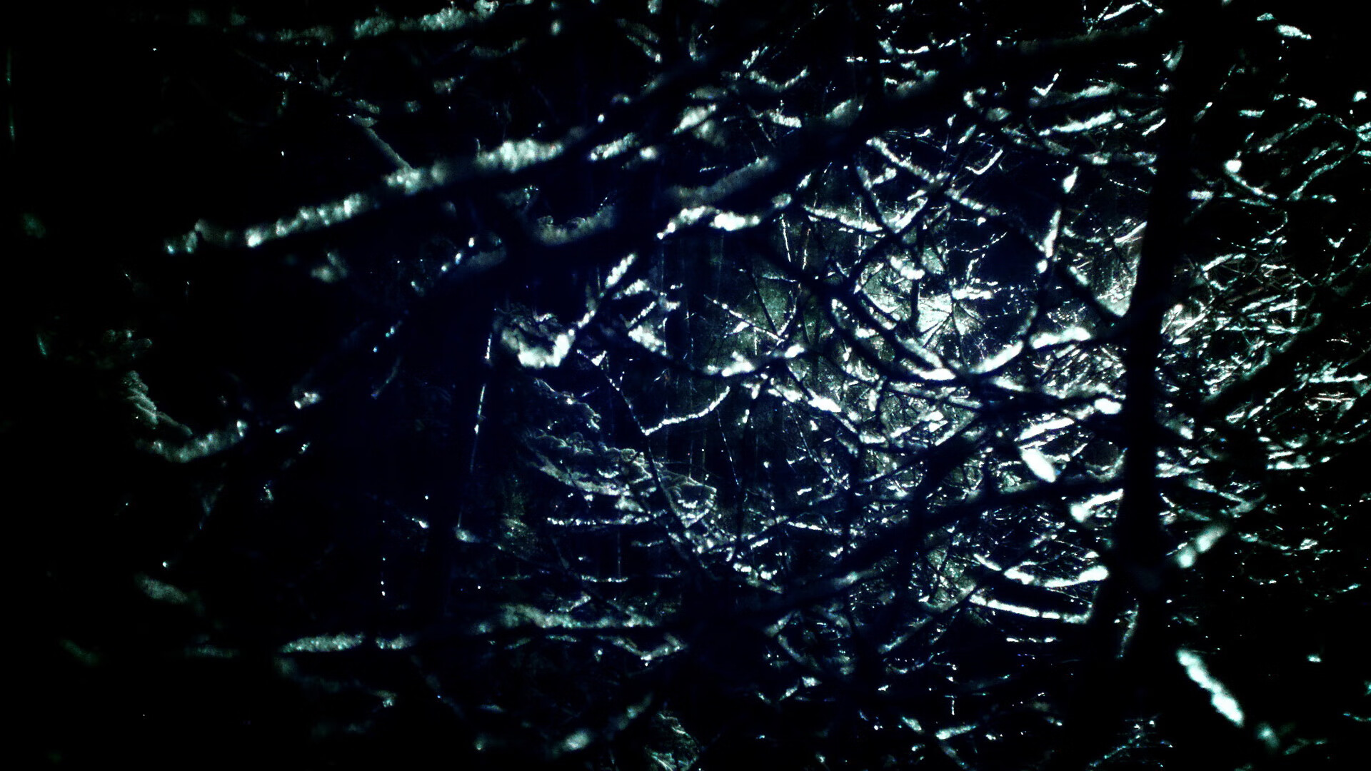 中小学篮球特色校园建设试点成果显著，中小学篮球发展与现状