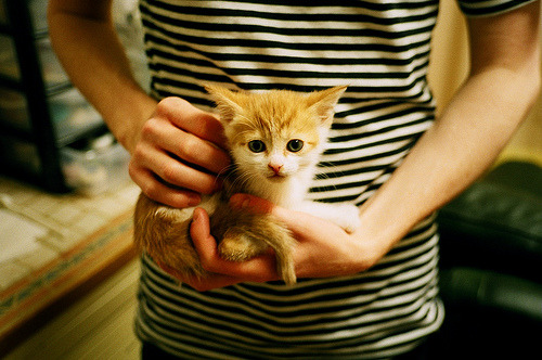 全黑队依靠全员参与防守,极大提升防线稳固性,全黑队服