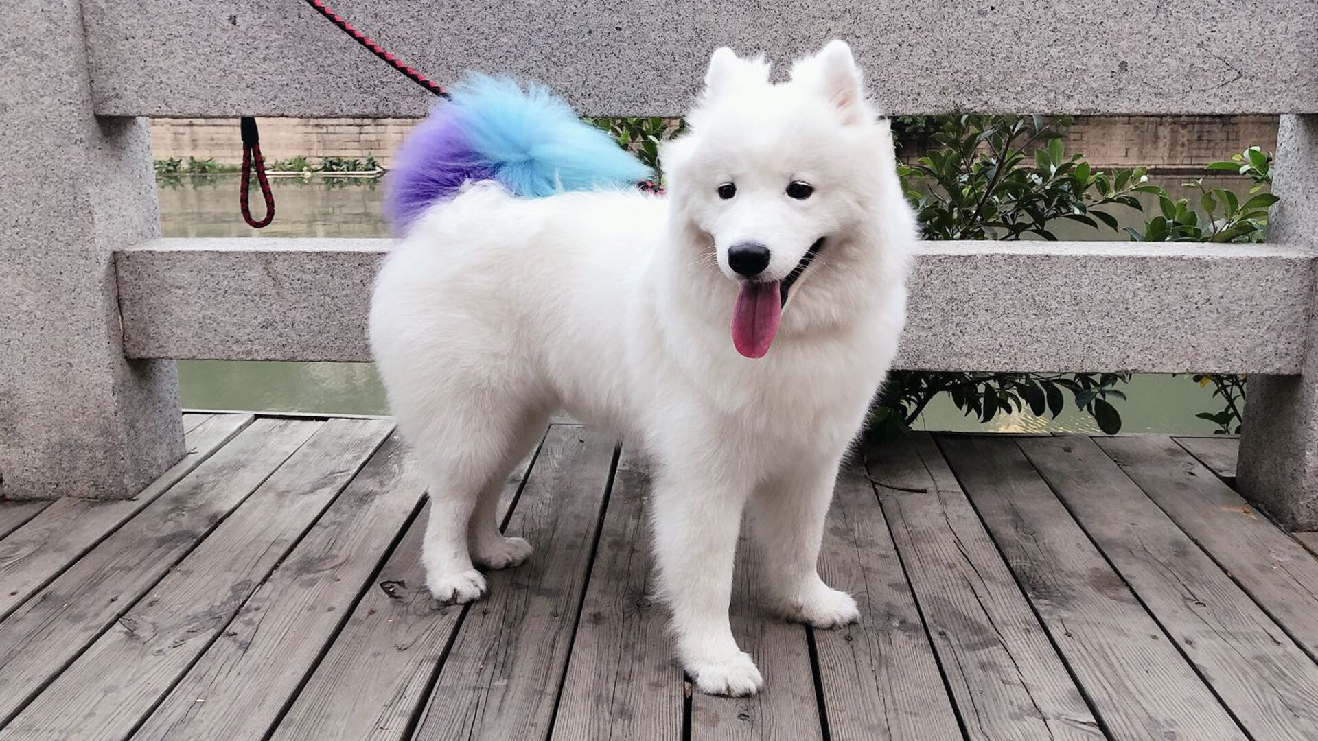 米兰体育APP-尤文图斯引援成功，中场实力大大提升