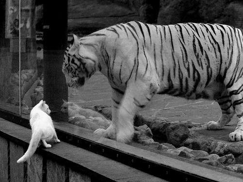 热火赛前热身动作更新保持竞技状态，热火比赛视频