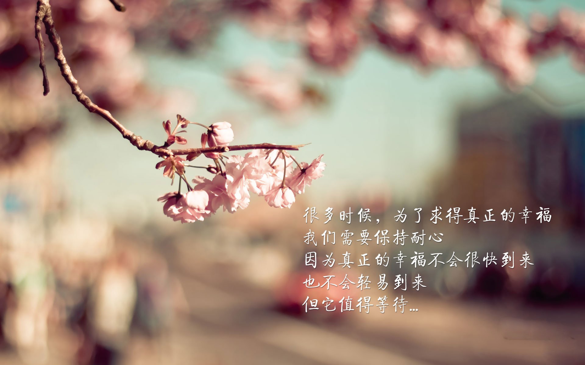 美洲杯逆境中崛起:英雄扬眉吐气!,美洲杯精彩