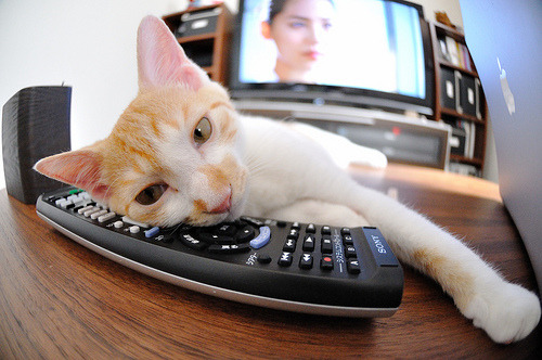 Milan Sports-Palmer迎来职业生涯关键转折点，职业生涯的转折