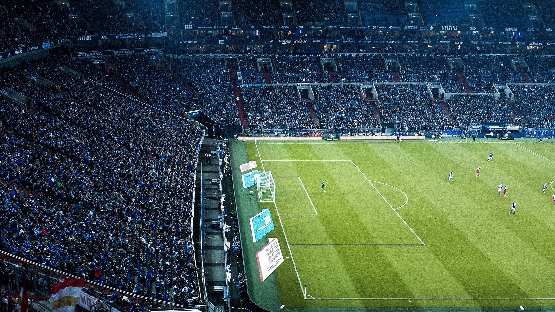 国际山地跑与环保论坛 同期举行“越跑越绿”挑战